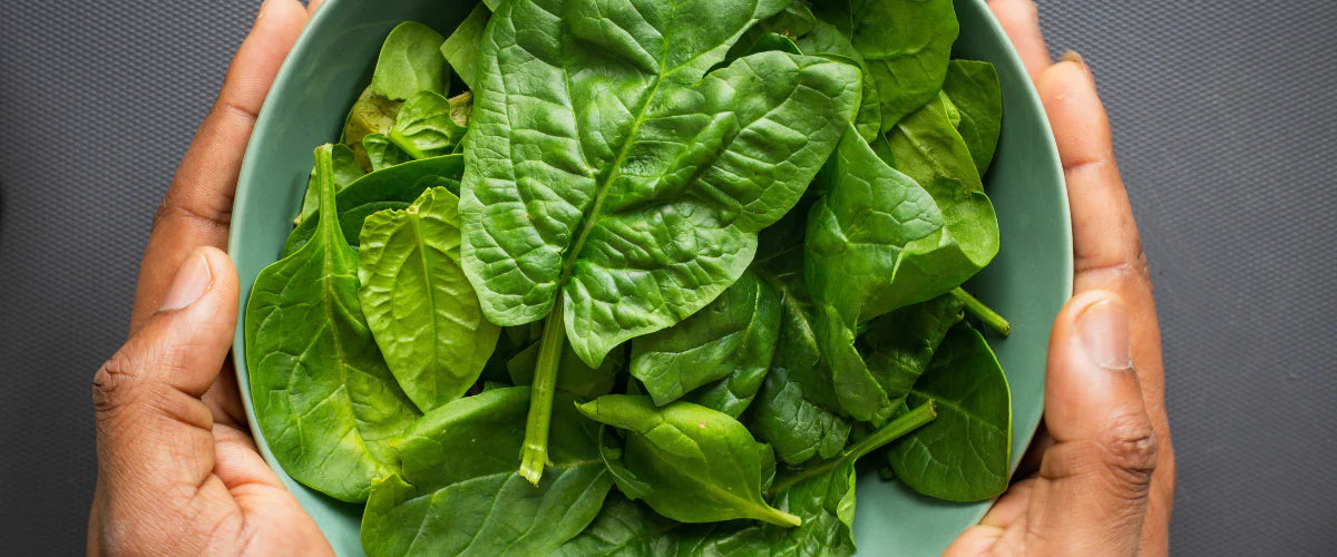 The Incredible Health Benefits of Spinach